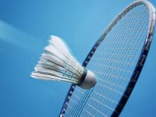 我国新星郑 我国新星郑