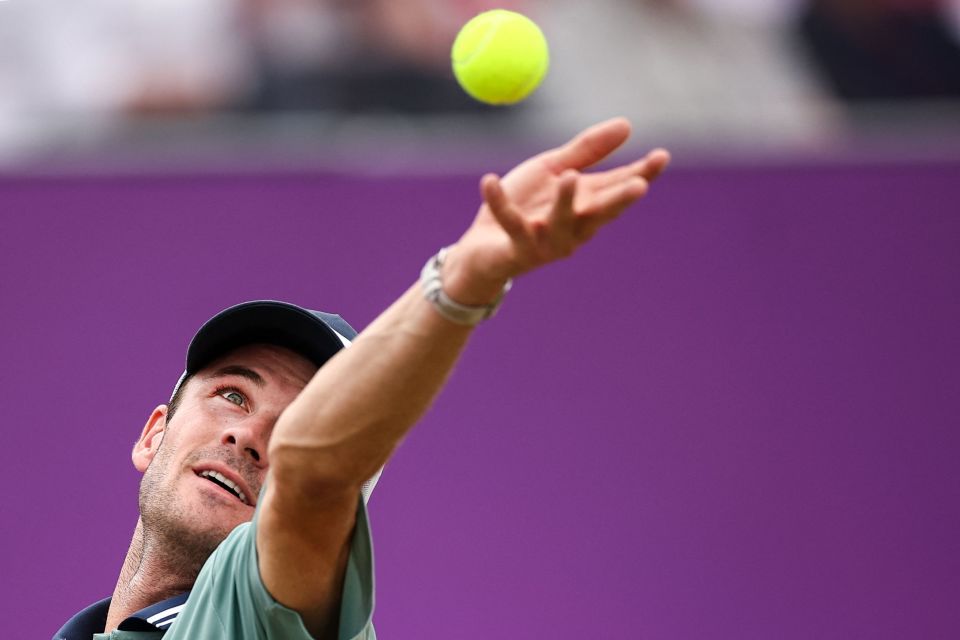 曼联在本届 曼联在本届